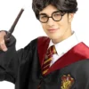 Peluca Harry Potter